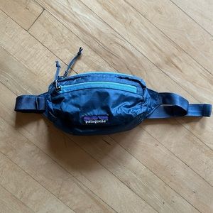 Patagonia Blue Belt Bag